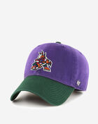Arizona Coyotes 2-Tone Dad Cap