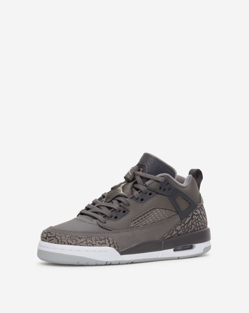 Jordan Big Kids' Spizike Low FQ3950-201 Grey 2