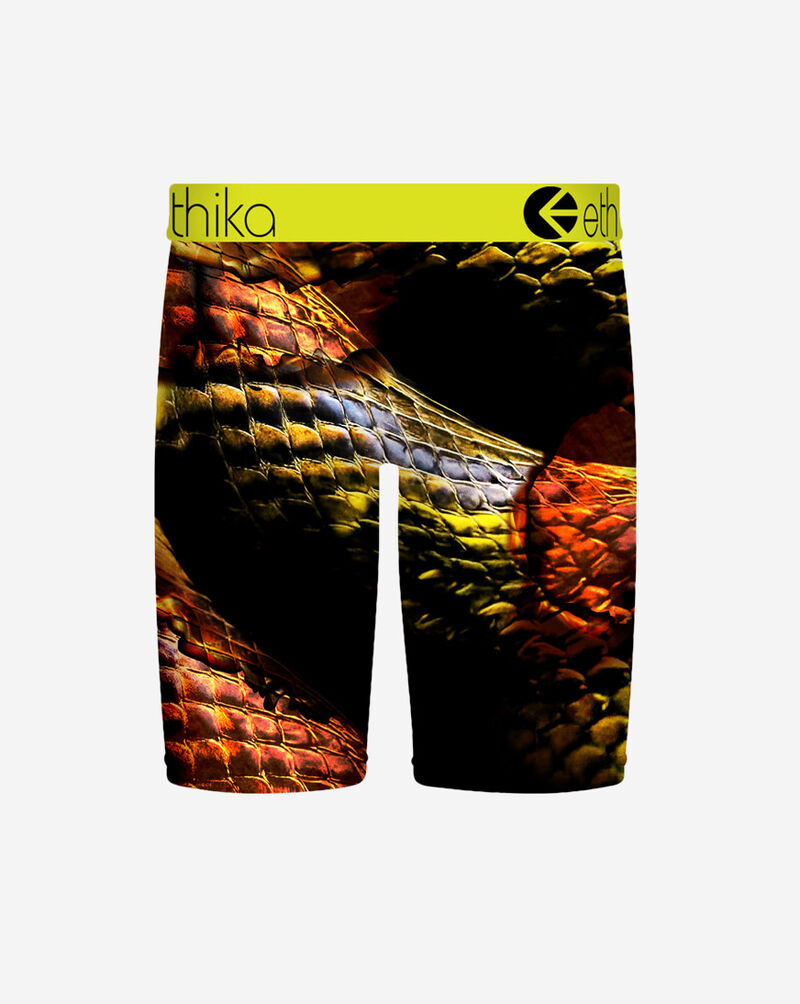 Ethika Grade School Bite Back Briefs BFAAAI2509 Multi 3