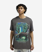 Forgotten Faces Emerald City Tee FOFUS119-03516 Grey 1