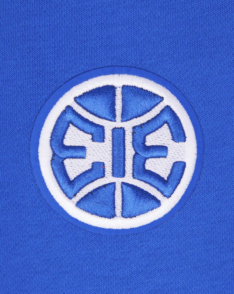 PRO STANDARD Detroit Pistons Retro Classic Rib Fleece Crewneck BDPC515459-RYR Blue 2