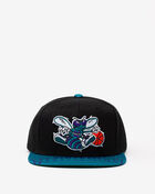 Charlotte Hornets HWC Snapshot Snapback
