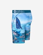 Voyage Briefs