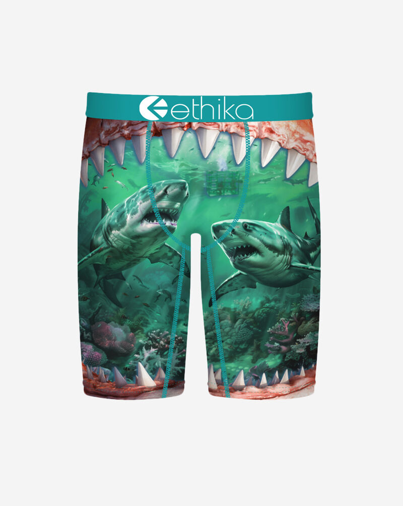 Ethika Grade School Food Chain Briefs BLST3595 Multi 1