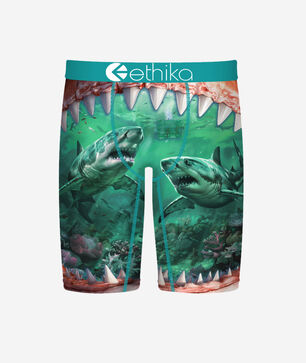 Grade School Food Chain Briefs