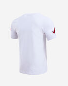 PRO STANDARD Atlanta Braves Classic Chenille Tee LAB131546-WHT White 3