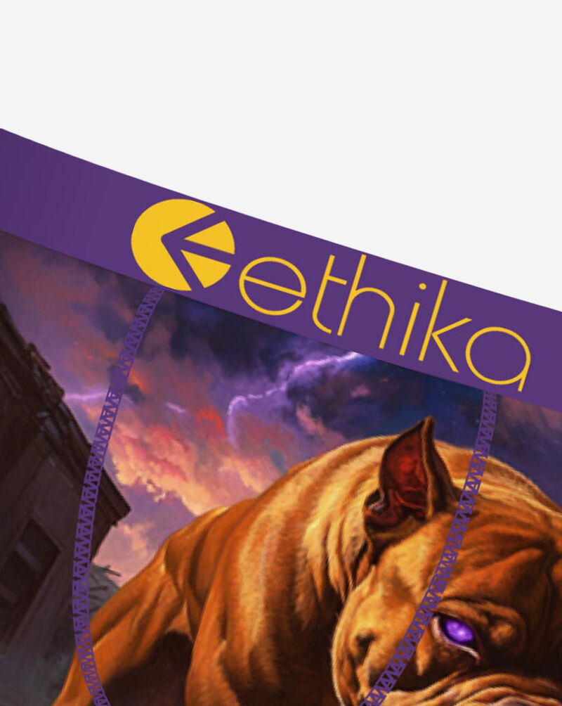 Ethika Terro Terrier Briefs MLUS3587 Multi 2