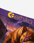 Ethika Terro Terrier Briefs MLUS3587 Multi 2