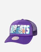 Charlotte Hornets NBA Billboard Trucker Snapback