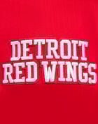 PRO STANDARD Detroit Red Wings Retro Classic Fleece Pullover Hoodie HDR567534-RED Red 2