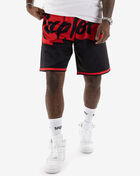 Mitchell & Ness Toronto Raptors Big Face 2.0 Shorts SHORBW19147-TRABLCK Black 1
