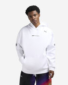 Formula 1 Motorsport Hoodie