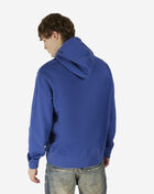 Polo Ralph Lauren Graphic Bear Hoodie 710853309033-RYL Blue 2
