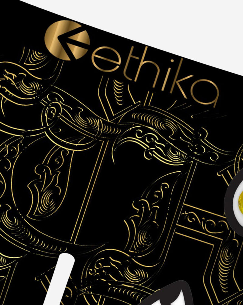 Ethika BMR Delux Lux Briefs MLUS3541 Multi 2