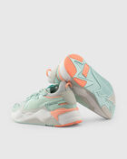Rs-X Tracks