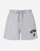 PRO STANDARD Detroit Tigers Classic Fleece Short LDTF37217-HGR Grey 1