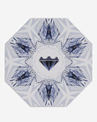 Nike Big Kids' LeBron XXII SE HQ3673-400 Black 10