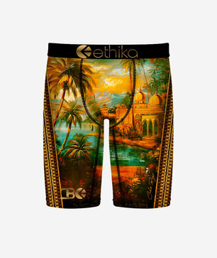 Where We Came From Briefs