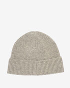 Polo Ralph Lauren Signature Cuff Beanie PC0483-034 Grey 3
