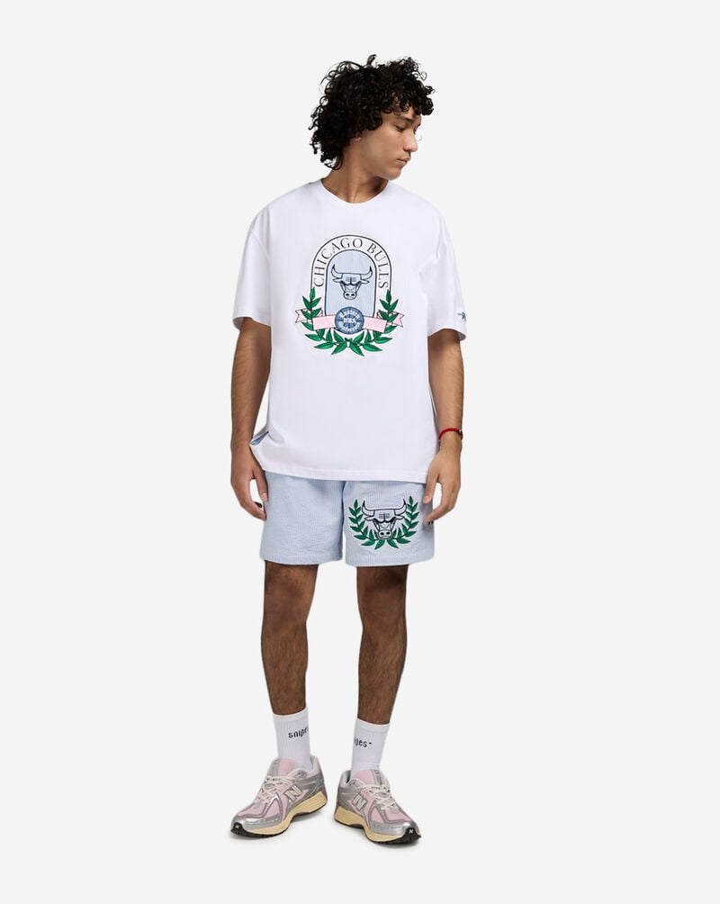 PRO STANDARD Chicago Bulls Seersucker Shorts BCB3516629-SSB Blue 4