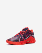 Nike Big Kids' LeBron XXII SE HQ3673-400 Black 2