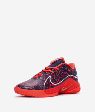 Big Kids' LeBron XXII SE