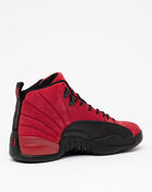 Air Jordan 12 
