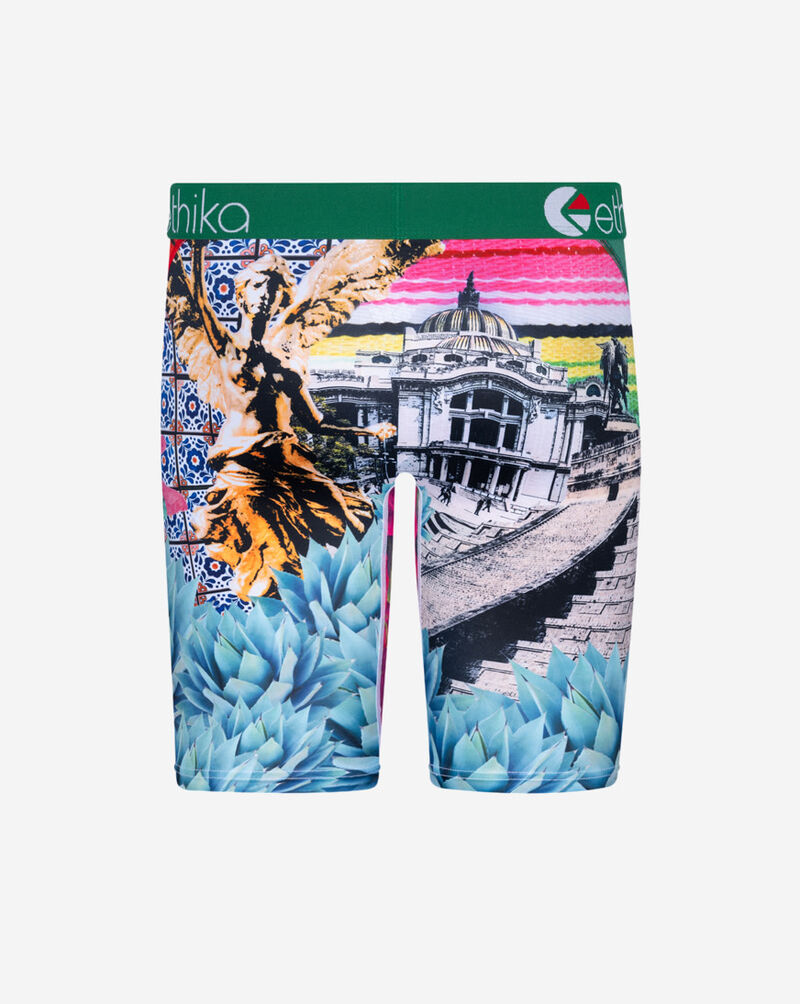 Ethika Cinco Cinco Briefs MLUS3190 Multi 3