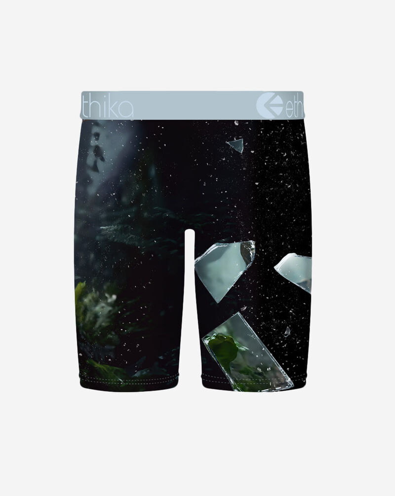 Ethika Grade School Shatter Cat Briefs BFAAAI2513 Multi 3