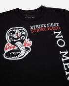 Grade School Cobra Kai No Mercy Tee
