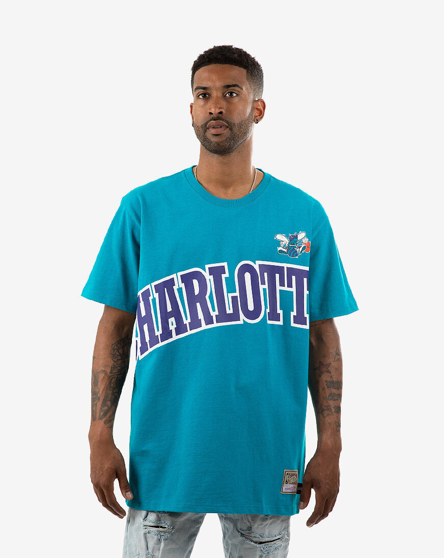 charlotte hornets big face shorts
