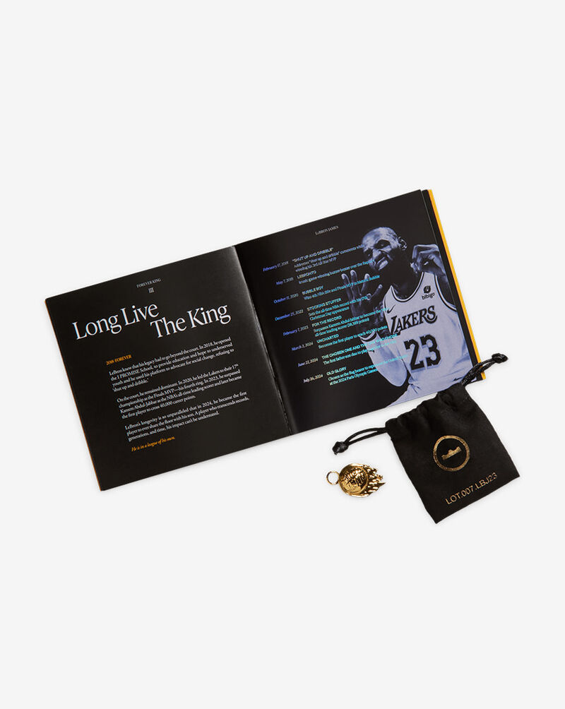 Nike LeBron XXIII "Out For Redemption" IH1513-400 Blue 9