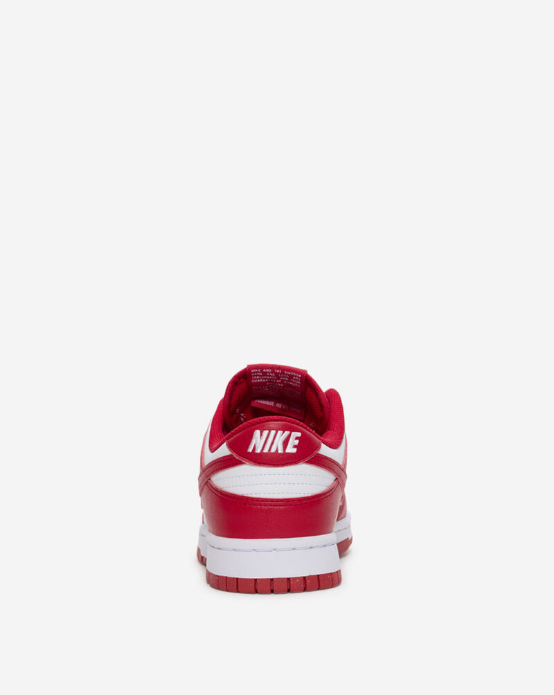 Nike Dunk Low Next Nature DD1873-116 Red 5