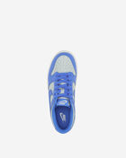 Nike Big Kids' Dunk Low FB9109-004 Blue 7