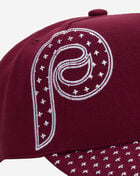 Mitchell  Ness Philadelphia Phillies Pro Pinch Triple Logo Snapback Hat HP19015-PPHMARO Red 2