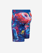 Ethika Drownin' N Color Briefs MLUS3148 Multi 2