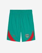 Puma Kids' Showtime Time Pack Knit Shorts  PSP26V9B-22154 Green 1