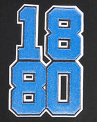 PRO STANDARD Southern University Homecoming Hoodie CSU571543-BLK Black 5