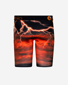 Tiger Gang Briefs
