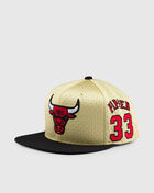Chicago Bulls Omni Branded Snapback