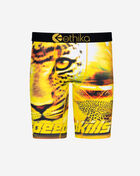 Ethika Speedah Briefs  MLUS2986 Multi 1