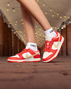 Nike Dunk Low DD1873-602 Red 9