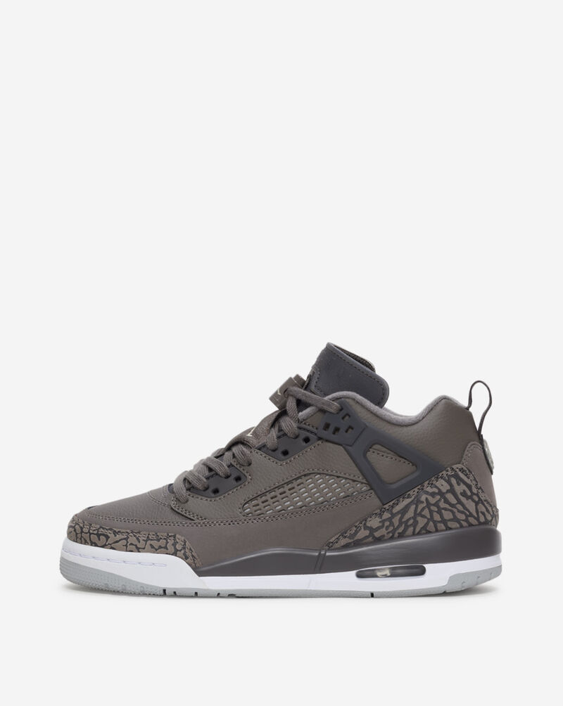 Jordan Big Kids' Spizike Low FQ3950-201 Grey 1