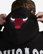 Chicago Bulls Day of The Dead Hoodie