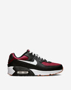 Grade School Air Max 90 LTR