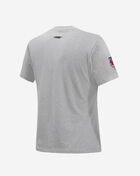 PRO STANDARD Detroit Tigers Classic Slim Fit Tee  LDTA34395-HGR Grey 2