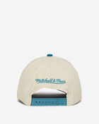 Charlotte Hornets Billboard 2.0 Snapback Hat