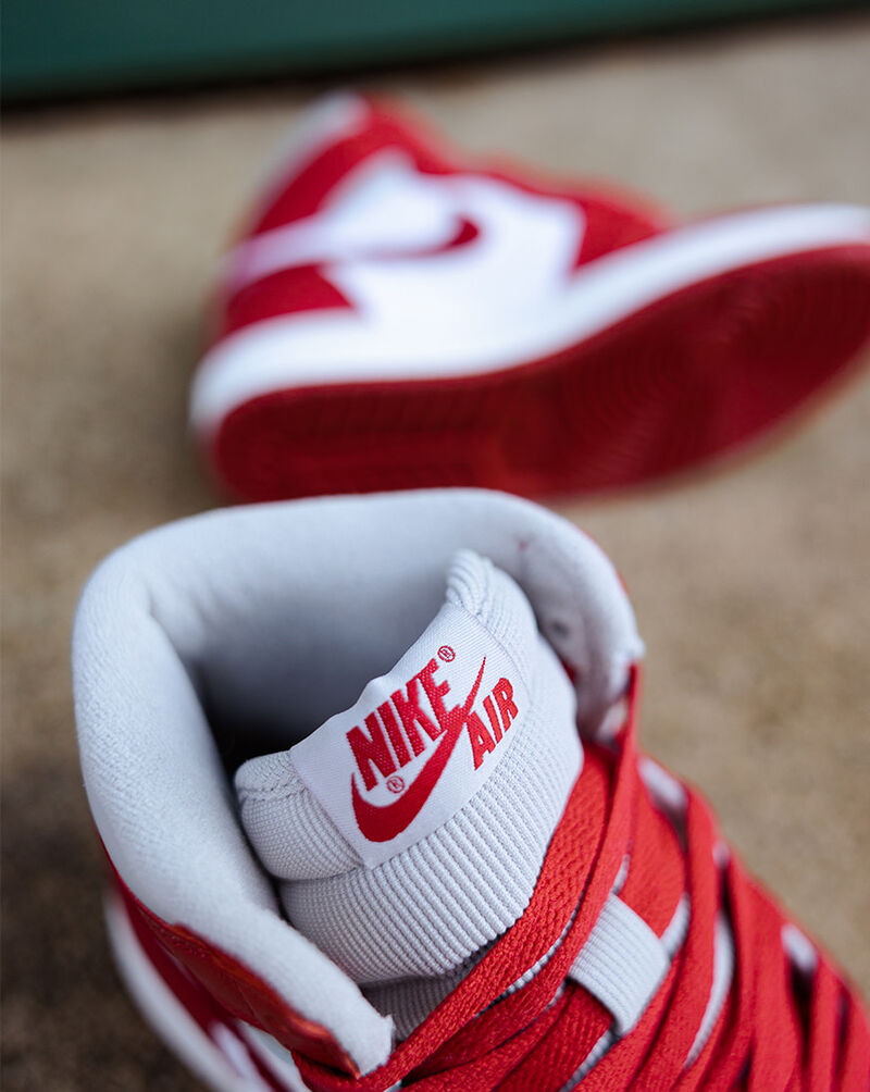 Jordan Air Jordan 1 Retro High OG DJ4891-061 Red 6