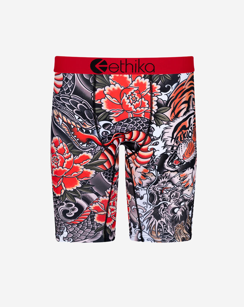 Ethika Fury Briefs MLUS3179 Multi 1
