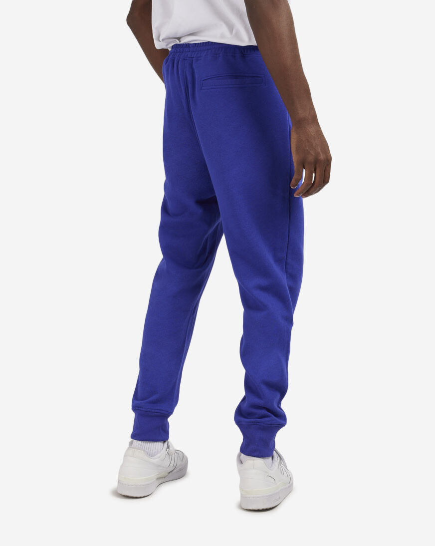 Shop The North Face Box NSE Joggers NF0A7UOA-ZXC blue | SNIPES USA